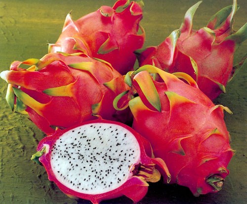 008-Dragon Fruit